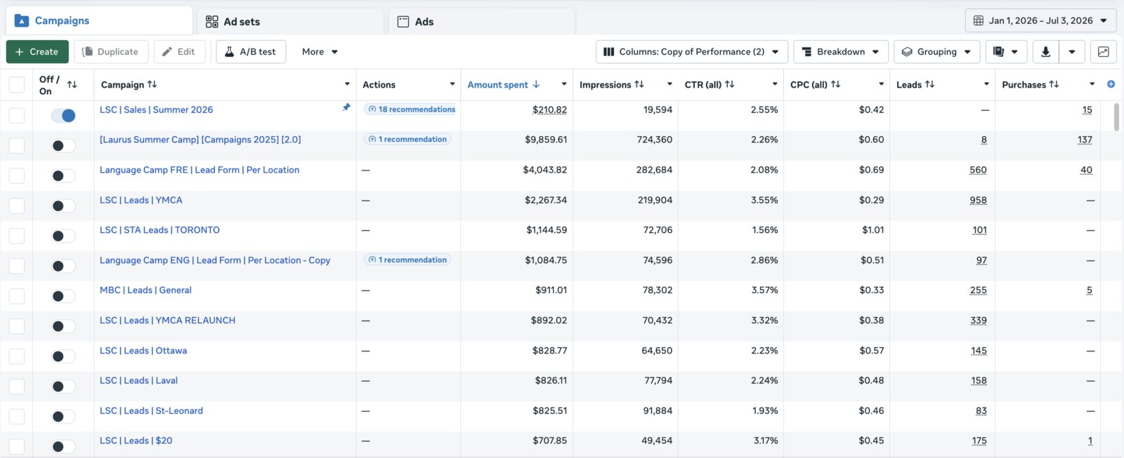 Meta Ads Manager — 2026 campaign results